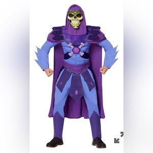 Spirit Halloween Skeletor Costume
